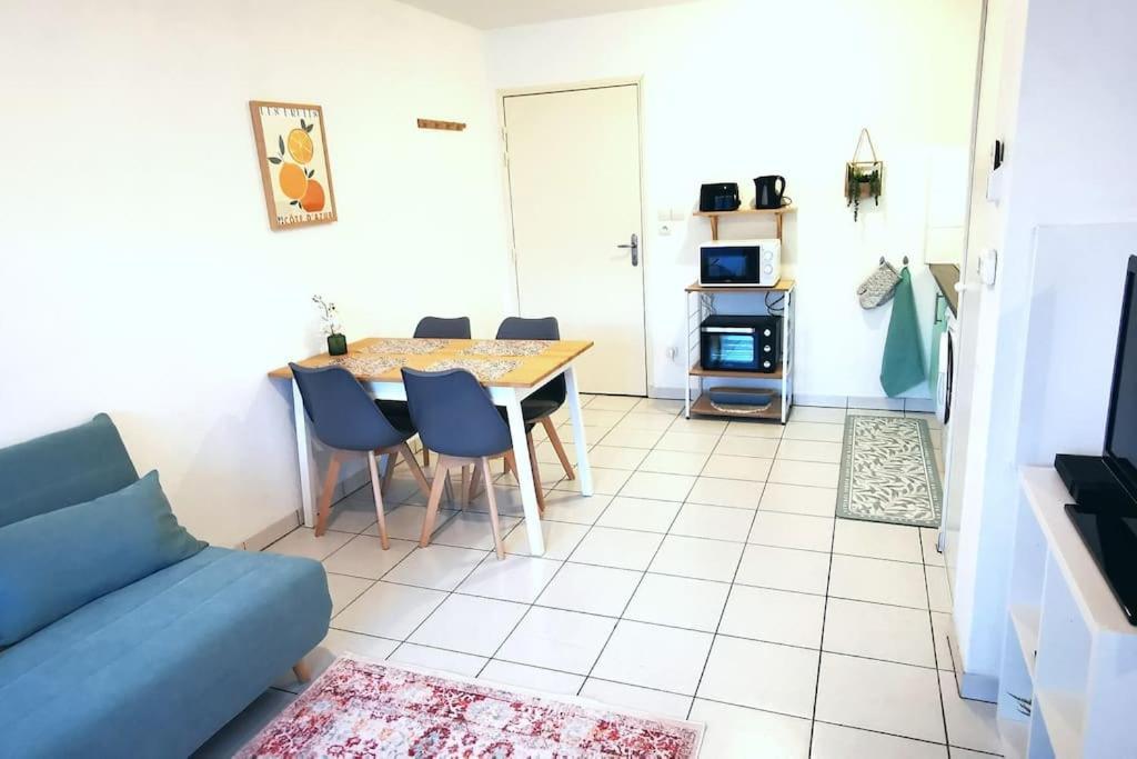 Grand Studio Lumineux Et Sa Terrasse Au Calme Toulouse Exterior foto